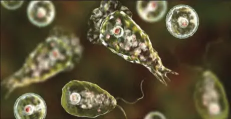 jk2025070803.png jk2025070803.png